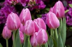 Spring retail solutions.