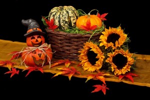 Fall Decor