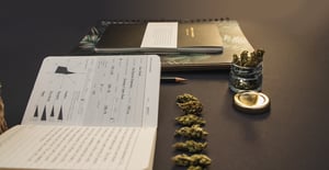 dispensary business plan