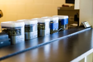 dispensary design